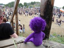 Noch schaut Knut nur zu...