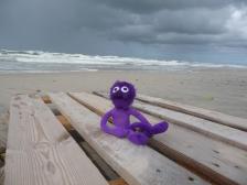 Ziemlich windig hier!