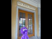 Ob Knut hier Freunde findet?