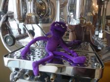 Knut hat offensichtlich auch ein Koffein-Problem...