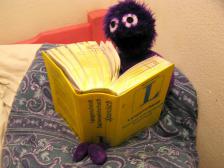 Knut auf Sprachreise in Buenos Aires