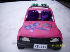 Gott sei Dank haben wir Winterreifen