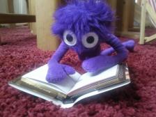 Das Buch lie&szlig;t sich gut