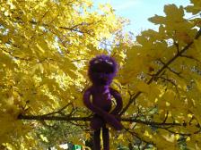 von hier oben hat man eine tolle aussicht