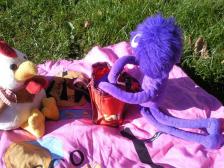 Knut packt den Rucksack aus