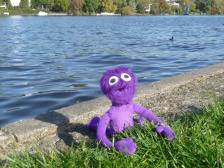 Knut nutzt die schöne Herbstsonne und macht noch ein paar Yogaübungen.