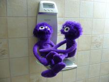 Knutine, sag' mal...