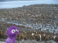 Umzingelt von 300.000 Kaiserpinguinen. Jetzt nur kein falsches Ger&auml;usch Knut!