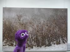 Weberknechte! Ich w&uuml;nsche angenehme Tr&auml;ume Knut...