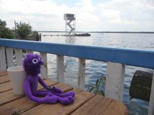 Ziemlich windig heute. Knut hat sich total eingesandet.