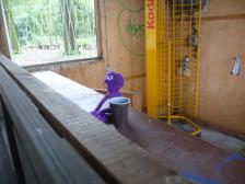 Knut beim Kaffeetrink... &auml;h, arbeiten.