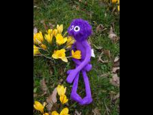 Ob wohl die Blumen gut riechen?