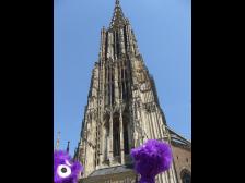 Ulmer Münster - Höchster Kirchturm der Welt (161,53 m) 