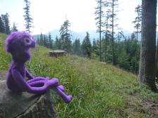 Aufstieg zum Rohnberg. Kurze Rast.