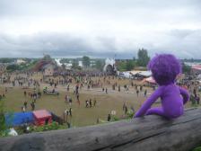 Knut genießt die Aussicht.