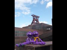 Hier m&uuml;ssen fr&uuml;her tausende Knuts gearbeitet haben!