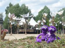 Ein seltener Anblick: Die menschenleere Tanzwüste