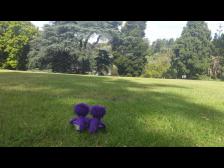 Ausblick auf den See