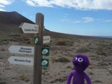 Strand oder Berg? Immer diese Entscheidungen!