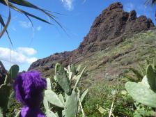 Immerhin ist das Wetter heute mal gut!