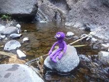 Auf dem Grund der Schlucht fließt ein winziger Bach.