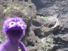 Links: Knut. Rechts: "El diablo".