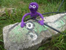 Schlangi sieht jedes Jahr etwas blasser aus...