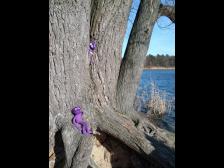 Knut ist auch schon da!