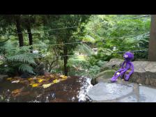 Nein Knut, keine Zehen ins Wasser tauchen!