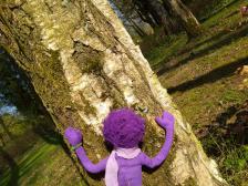 Heute schon einen Baum umarmt?