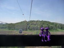 Los geht's, erstmal auf den Kienberg.