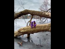 Ich dachte, du hast unsere M&uuml;tzen dabei!