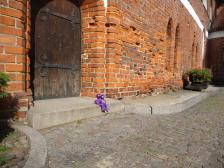 Knuts im siebten Backstein-Himmel