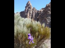 Mach schnell, das kitzelt!