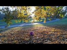 Herzliche Gr&uuml;&szlig;e nach Berlin!