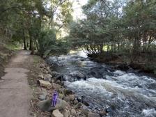 In Warburton am Flussufer des Yarra