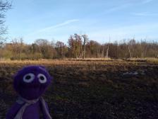 Knut? Eben war er doch noch da...