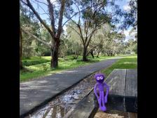 Es hat die Nacht zuvor gesch&uuml;ttet