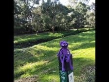 Ausschau halten f&uuml;r Fahrradfahrer