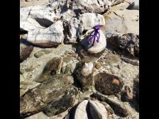 Knut trocknet in der Sonne 