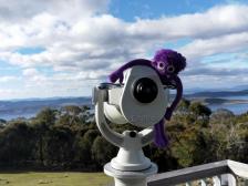 Ich möchte auch kucken