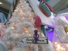 Zucker gibt dem Leben erst einen Sinn!