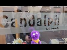 Dafür hat Gandalph auf, schnell rein!