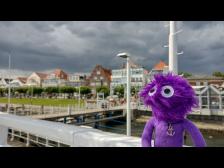 Im Hintergrund die Vorderreihe.