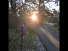 Die letzten Sonnenstrahlen