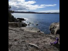 Schwarze schimmernde Erde