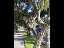 Ich wei&szlig; wohin wir hingehen