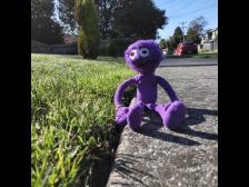 Der Tau (Frost) war noch auf den Gr&auml;sern