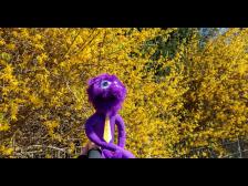 Na, kommt da etwa langsam der Fr&uuml;hling angeschlichen?