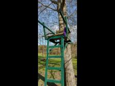 Ein netter Hochsitz. Wohl f&uuml;r gr&ouml;&szlig;ere Knuts konzipiert...